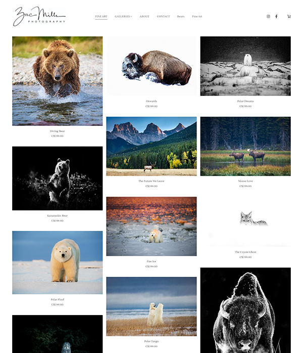 Zac Mills — witryna z portfolio fotografów dzikiej przyrody — Pixpa